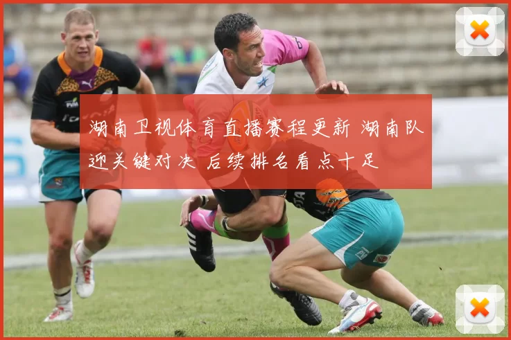 湖南卫视体育直播赛程更新 湖南队迎关键对决 后续排名看点十足