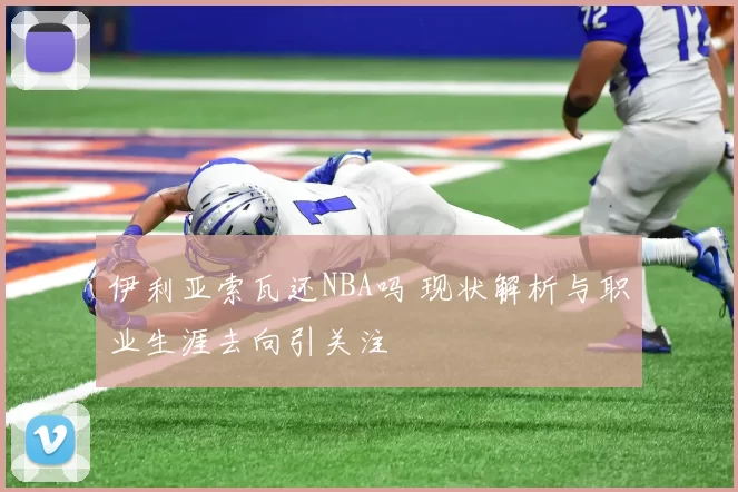 伊利亚索瓦还NBA吗 现状解析与职业生涯去向引关注